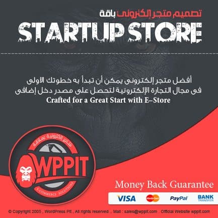 StartUp E-store
