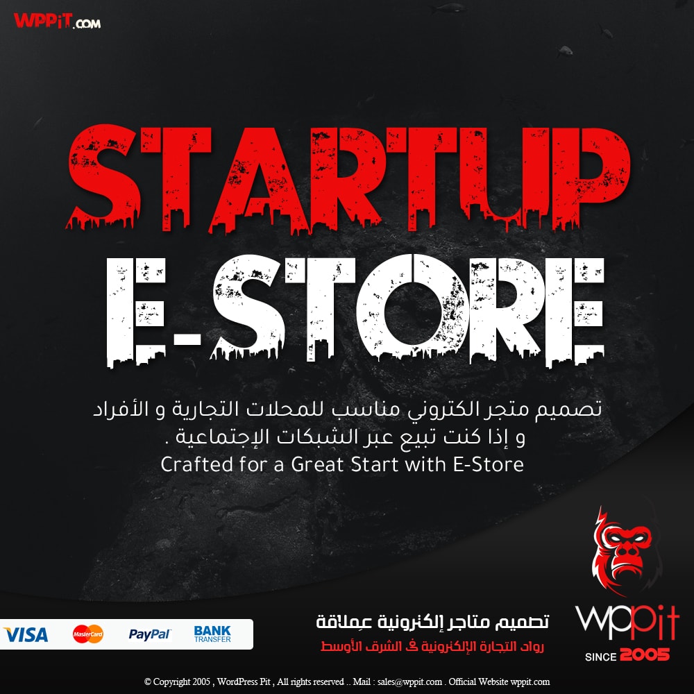باقة StartUp E-store