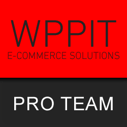 فريق تقنى للتوظيف لفترة 3 شهور من wppit.com
