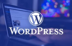 مراجعة لأهم 7 إضافات (Plugins) لا غنى عنها لأي متجر ووكومرس