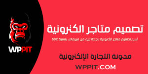 تصميم متاجر الكترونية ناجحة تزيد من مبيعاتك بنسبة 50%